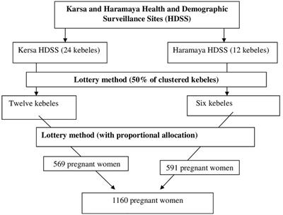 Khat use and associated factors during pregnancy in eastern Ethiopia: A community-based cross-sectional study